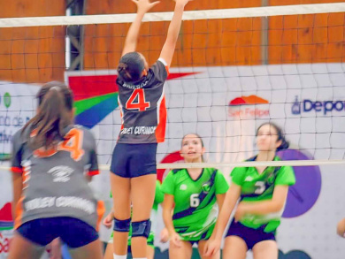 Voley