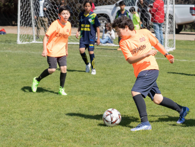 futbol