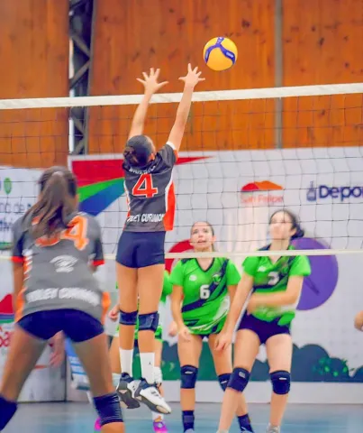 Voley