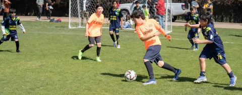 futbol