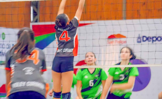Voley